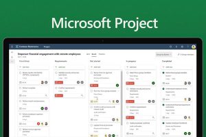 Microsoft Project 2019 Full Crack