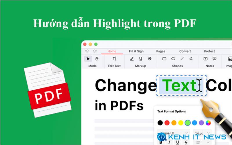 cách highlight trong PDF