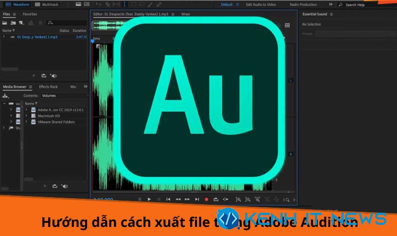 cách xuất file Adobe Audition