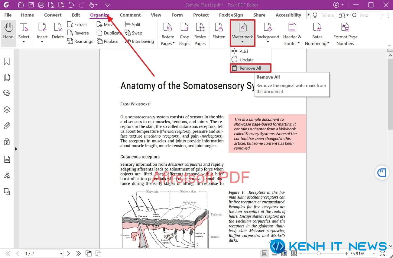 cách xóa watermark trong PDF 