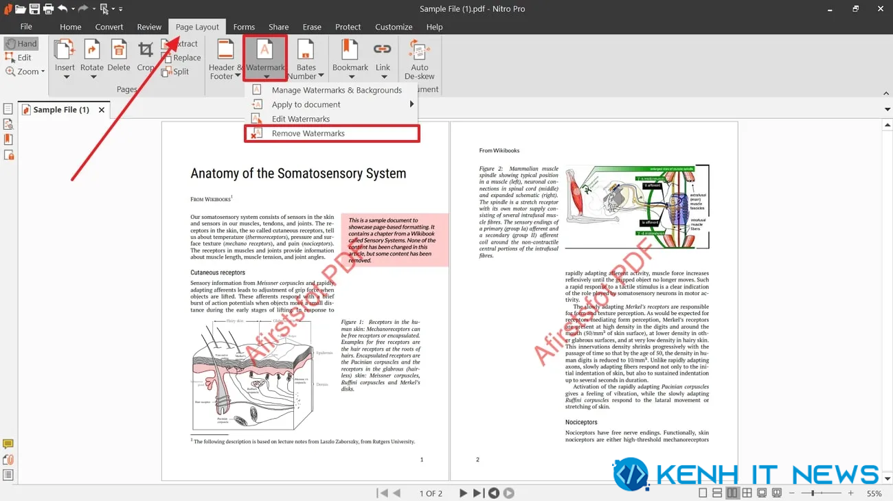 cách xóa watermark trong PDF