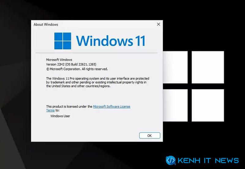 Ghost Win 11 22H2