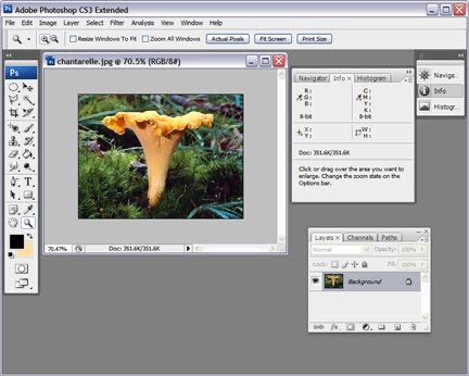 photoshop cs3 full crack